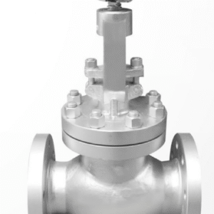 Liyo Globe Valve