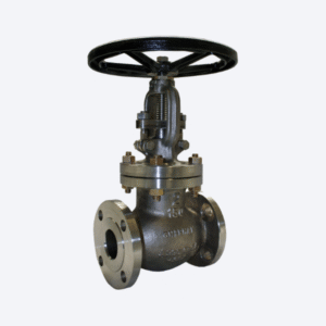 Globe Valve